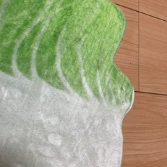 おくるみ　白菜の画像