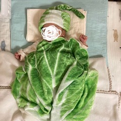 おくるみ　白菜の画像