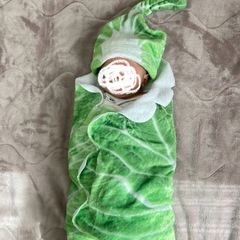 おくるみ　白菜の画像