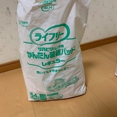ライフリー　装着パット　値下げ中の画像