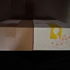 ポケモンカード　テラスタルフェス　10BOX