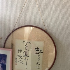 丸い額