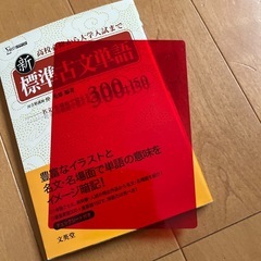 新標準古文単語の画像