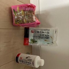 メダカ　飼育