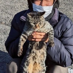募集友達