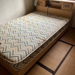 ベット🛏️✨