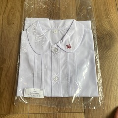 千代町幼稚園・城南幼稚園・明野第一幼稚園　男の子　半袖　Ｌサイズ新品