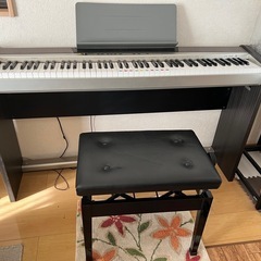 CASIO PX-120 電子ピアノ Amazon | CASIO 電子ピアノ Privia PX-120DK | 電子ピアノ