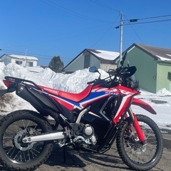 中古バイク(低走行)HONDA crf250rallyカスタムパーツ多数の画像