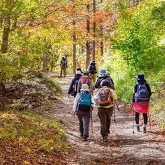 十勝で登山仲間募集⛰️