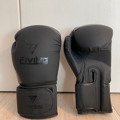 キックボクシング用グローブ、レガース、ヘッドギア3点／FIVING、ZHENGTU／総額12,000円相当の画像