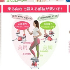 oasis ステッパー　筋トレの画像