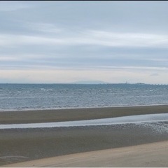非公開海の前、50年　定期借地