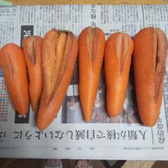 人参  6本