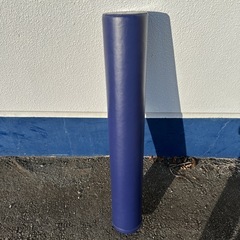 LPNストレッチポール EXの画像