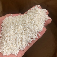 もち米　もち　はりまもち　米　5キロ玄米2,200円価格　