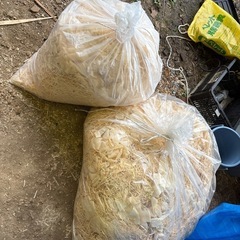 おがくず　鉋屑　混合　二袋