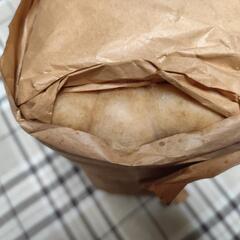 停止中【あげます】綿(わた)　未使用と思われるが変色しているの画像