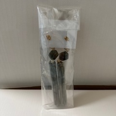 ピアスの画像