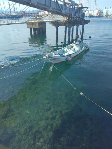 値下げ、漁船（10人乗り)鹿児島市のその他