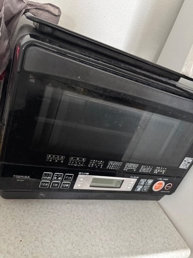 TOSHIBA 石窯ドーム