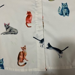 猫シャツの画像