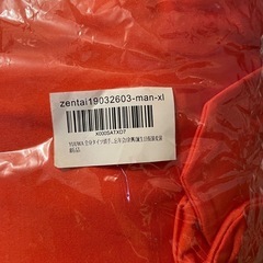 忘年会　全身タイツ　XL