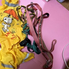 ペット用服　リード　 の画像