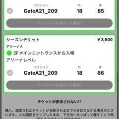 琉球ゴールデンキングス　大阪戦　ペア　駐車場付き