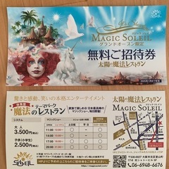 マジックソレイユ入場無料券