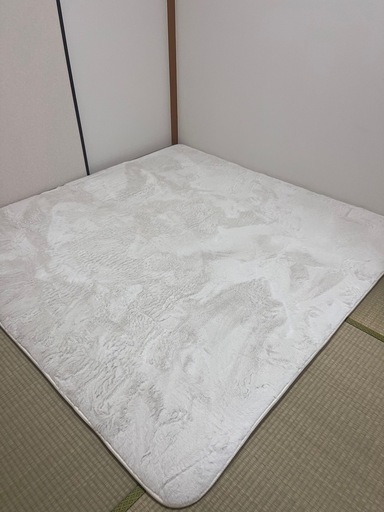 ニトリ 厚さ3cm ラグ