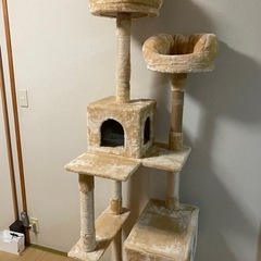 キャットタワー　訳アリ品の画像