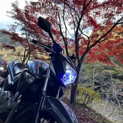 ツーリング仲間募集 - 友達