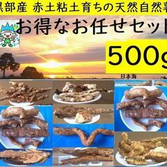 黒部産・山堀り・ 天然自然薯 1,000g 強