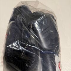 新品未使用、未開封のFairtexムエタイボクシンググローブです。少し濃い目の青色でサイズは８オンス。の画像