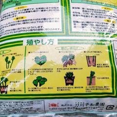 刀川平和農園のサボテン/多肉植物の培養土の画像