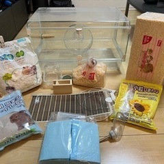 【3万円相当】ハムスター　飼育セット　お迎えセットの画像