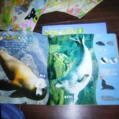 絵本　13冊セット　さんぽすがん　ひかりなくに　きせつのずかんの画像