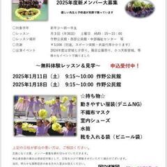 チアダンス🩰見学会💓✨️