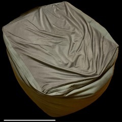 体にフィットするソファ（無印良品）