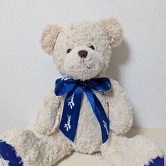 【無料】テディベアのぬいぐるみ 差し上げます