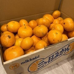 みかん