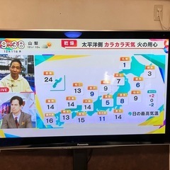 テレビ　パナソニックTH-P50V1　　引き取り希望