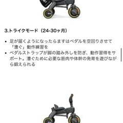 【27日まで値引き】リキトライク★プレミアム★ナイトロブラックの画像