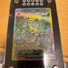 ポケモンカード　リーフィア　ケースつき。決まりました。