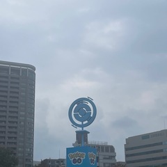 ポケ活