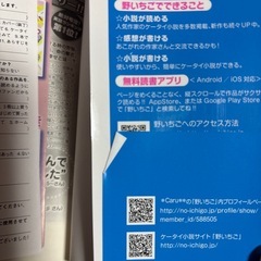 携帯小説 恋愛小説 18冊 まとめ売りの画像