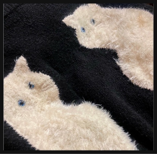 ご購入者様決定꒰E hyphen world gallery꒱猫ちゃんニット夢可愛い セーター