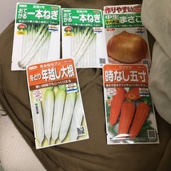 大根、人参、玉ねぎ、ネギ×2の種　計5袋