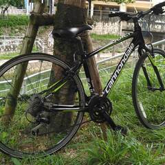 Cannondale Quick4 ブラック　Sサイズ